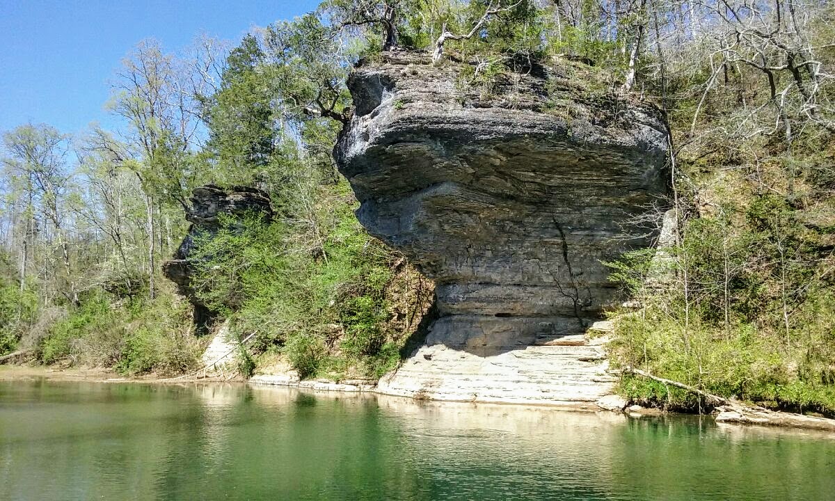 Tall bluff with very old trees on top