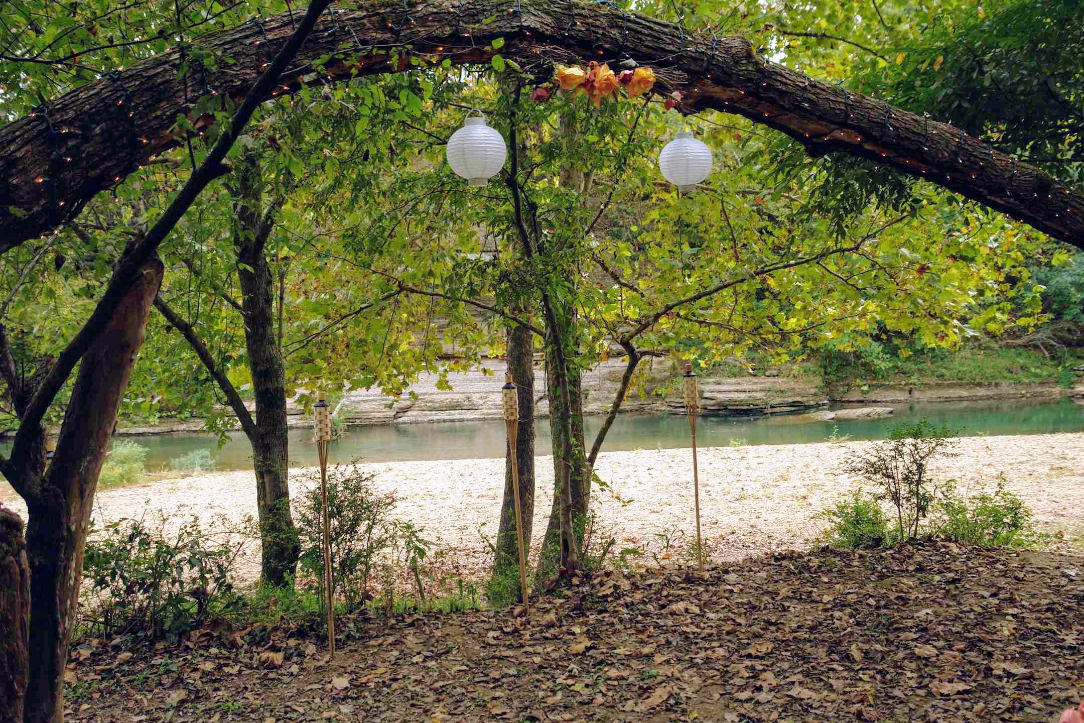 Leaning over tree is decorated for the wedding