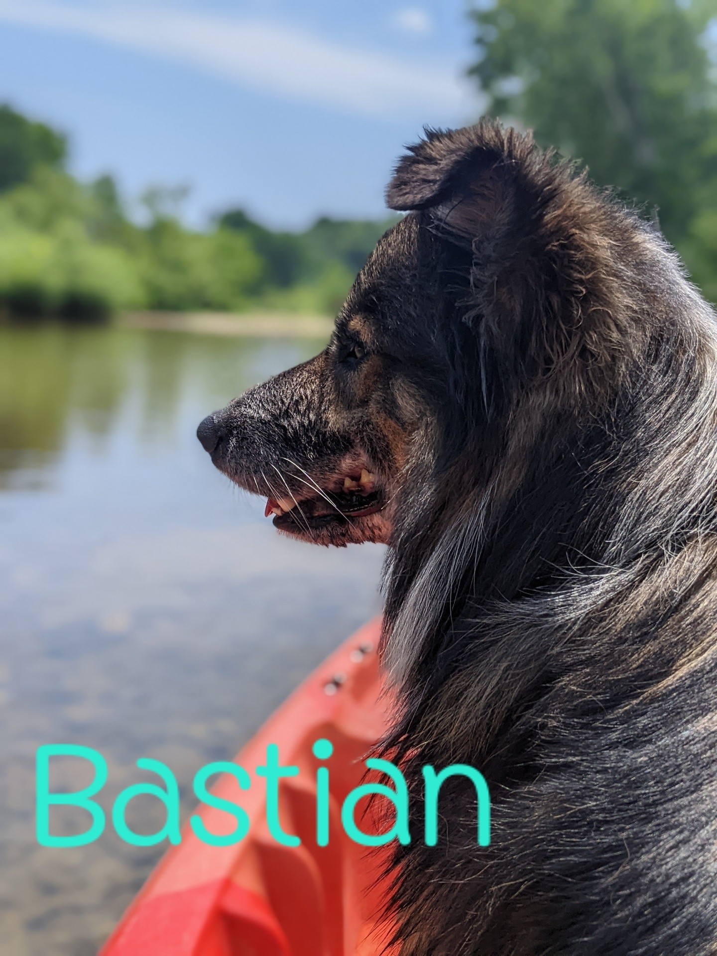 Bastian image