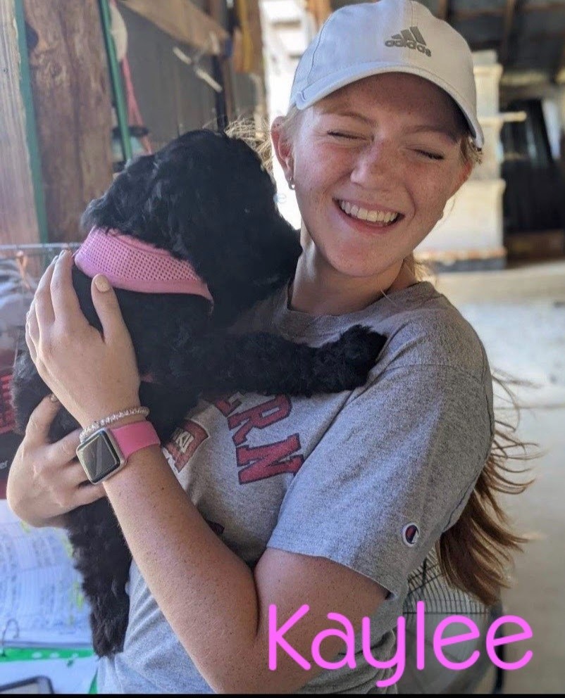 Kaylee image